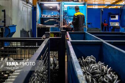  گلایه تولیدکنندگان از کندی تخصیص ارز و تسهیلات حمایتی