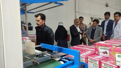  طرح مشکلات سردخانه‌داران بمی و تأکید بر ضرورت ایجاد پایانه صادراتی محصولات کشاورزی