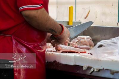  بازار مرغ آرام شد؛ قیمت ران و سینه کیلویی چند؟+جدول