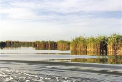  آزمون ۲۰۰ میلیاردی احیای تالاب