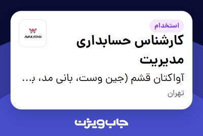  استخدام کارشناس حسابداری مدیریت در آواکتان قشم (جین وست، بانی مد، بالکافه، دیجی واش و ...)