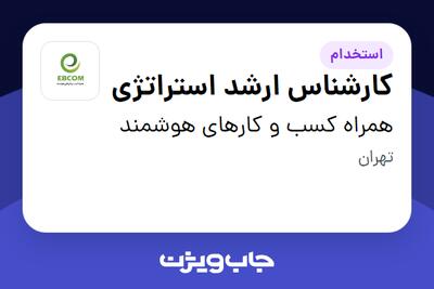  استخدام کارشناس ارشد استراتژی در همراه کسب و کارهای هوشمند
