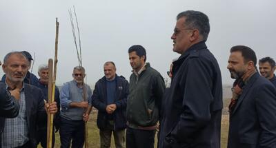  غرس ۷۰۰۰ اصله نهال در شهرستان جویبار