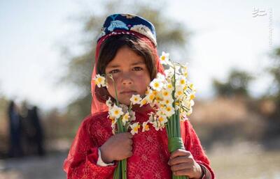  عکس/ هشتمین جشنواره گل نرگس در کازرون