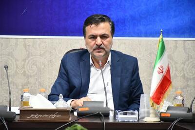  حمیدی: ثبت‌نام شوراهای روستایی با دقت و سرعت در حال انجام است