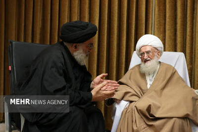  دیدار خانواده مرحوم آیت‌الله محمودی گلپایگانی با آیت‌الله نوری همدانی