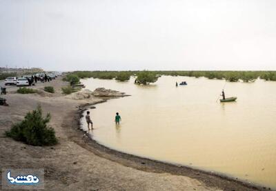  رایزنی برای تامین حقابه هامون | نفت ما