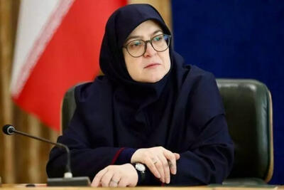  گام‌ها و راهبردهای دولت در مواجهه با حوادث دی‌ماه