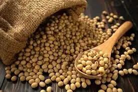  تفاوت سویا و آجیل سویا چیست و چه فرقی دارند