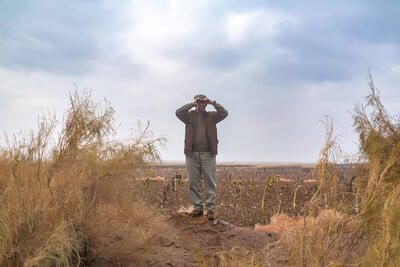  رویای حفاظت، در بن‌بست امنیتی