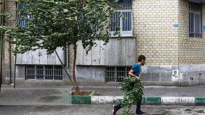  باد شدید و گرد و خاک در راه تهران؛ هشدار سطح زرد صادر شد