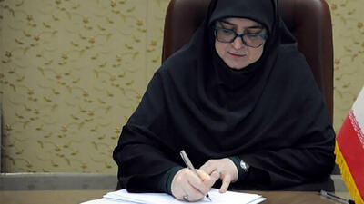  گام‌ها و راهبردهای دولت در مواجهه با حوادث دی‌ماه