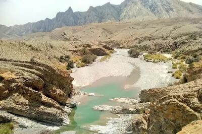  رئیس سازمان حفاظت محیط زیست از تلاش برای پیگیری مسئله حقابه هامون خبرداد