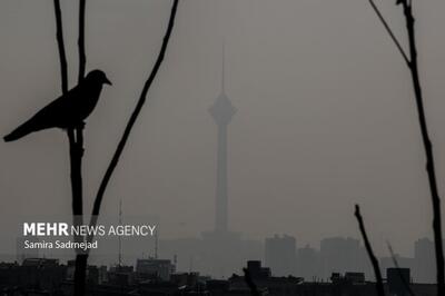  تهران به مرز آلودگی رسید