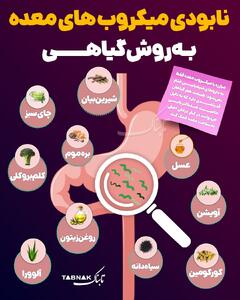  اینفوتابناک/ نابودی میکروب‌های معده به روش گیاهی