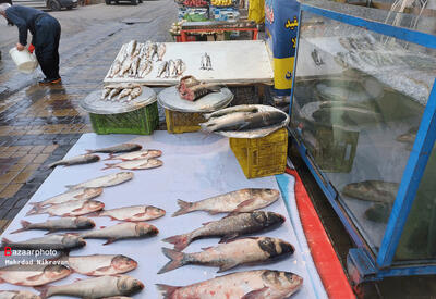  قیمت انواع ماهی ۲۵ بهمن ۱۴۰۴