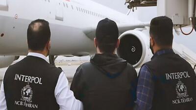  شکار ۲۰۰ میلیون دلاری اینترپل