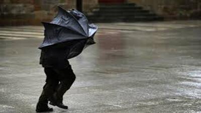  بارش باران و وزش باد در فارس