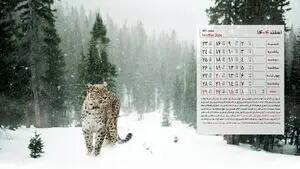  تقویم اسفند ۱۴۰۴ ؛ اسفند چند روز تعطیلی داریم؟