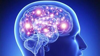  راه‌های پیشگیری از فراموشی و آلزایمر