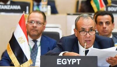  مصر خواستار اتخاذ رویکرد امنیتی جامع در آفریقا شد