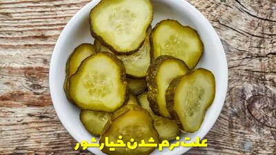  علت نرم شدن خیارشور خانگی | از کجا بفهمیم خیارشور رسیده؟
