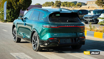  وویا فری در بازار چه قیمتی دارد؟