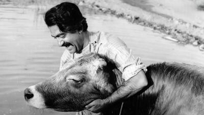  چند دقیقه از سینمای ناب داریوش مهرجویی (تماشا کنید)