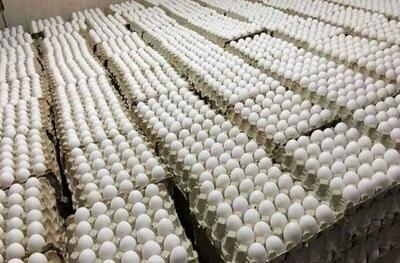  قیمت جدید تخم‌مرغ اعلام شد/ قیمت تخم‌مرغ در ماه رمضان چه تغییری می‌کند؟