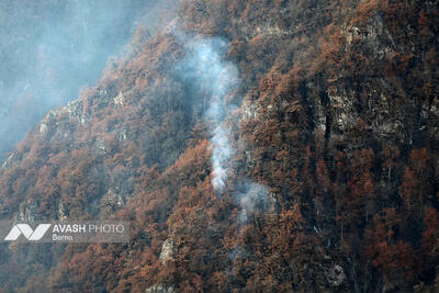  آتش‌سوزی در جنگل‌های مازندران +جزئیات