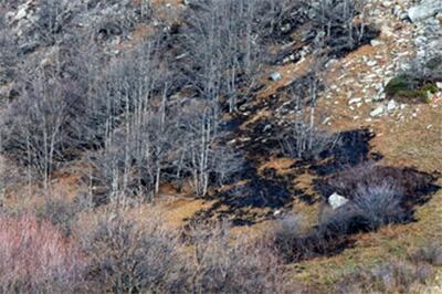  جزئیات آتش‌سوزی امروز جنگل «واز» ‌مازندران