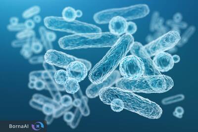  نقش باکتری‌های دهان در متابولیسم و چاقی انسان