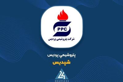  توضیحات «شپدیس» در خصوص صورت های مالی