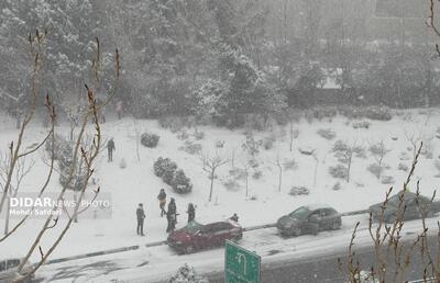  باران و برف در تهران و ۱۶ استان/ افزایش دما از سه‌شنبه