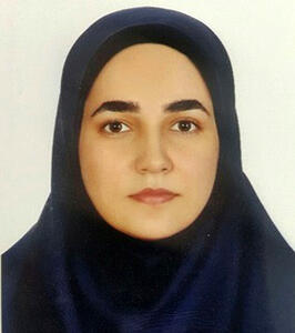  نقد «شفافیت» در شهر تهران