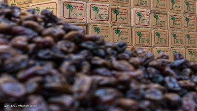  قیمت خرما در آستانه رمضان کیلویی چند؟