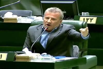  فریاد نماینده مجلس در صحن علنی/ مرغداران به دلیل کمبود نهاده جوجه‌ها را در چاه می‌ریزند