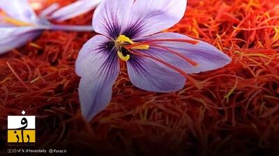  صادرات زعفران ایران در آذرماه متوقف شد