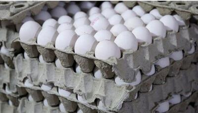  رونق بازار کالاهای اساسی با شارژ کالابرگ | ریزش قیمت تخم مرغ در آخرین هفته بهمن