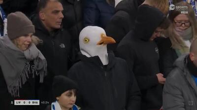  ویدئو: حضور جنجالی «مرغ دریایی» مقابل لیورپول