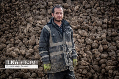  تولید ملی؛ برای فردای بهتر