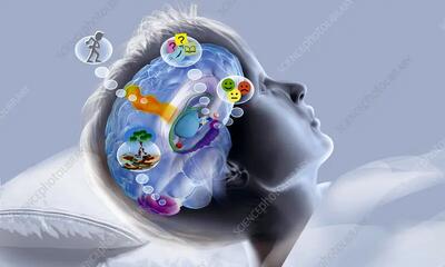  کلید خاموش روشن مغز پیدا شد | درمان قطعی بی‌خوابی با یک کلیک ساده!