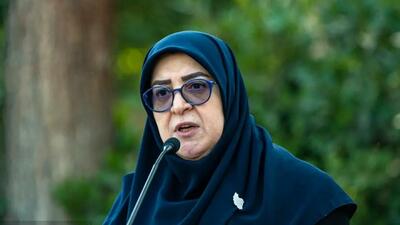  دولت پیگیر وضعیت دانش‌آموزان بازداشتی است/ راه‌اندازی خطوط مدیریت بحران در مدارس