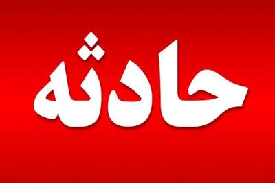  زیر گرفتن محیط‌بان توسط شکارچیان در لامرد