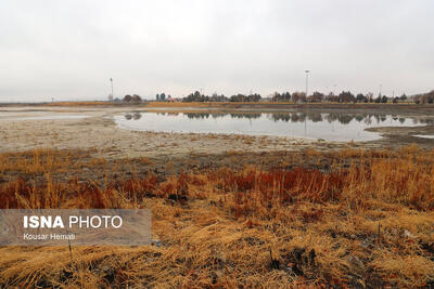  کم آبی «سراب نیلوفر» همچنان ادامه دارد