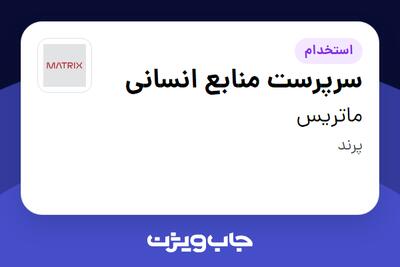  استخدام سرپرست منابع انسانی - خانم در ماتریس