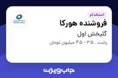  استخدام فروشنده هورکا در گلپخش اول