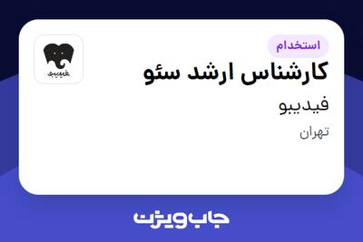  استخدام کارشناس ارشد سئو در فیدیبو