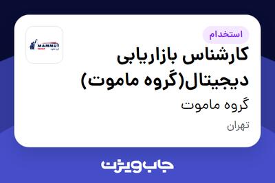  استخدام کارشناس بازاریابی دیجیتال(گروه ماموت) در گروه ماموت