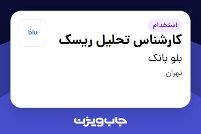  استخدام کارشناس تحلیل ریسک در بلو بانک